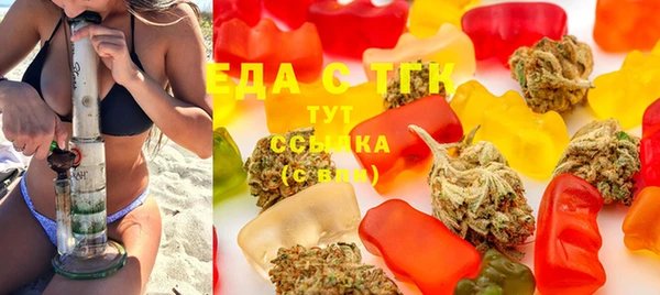индика Магас