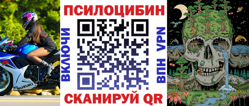 Псилоцибиновые грибы прущие грибы  Тимашёвск 